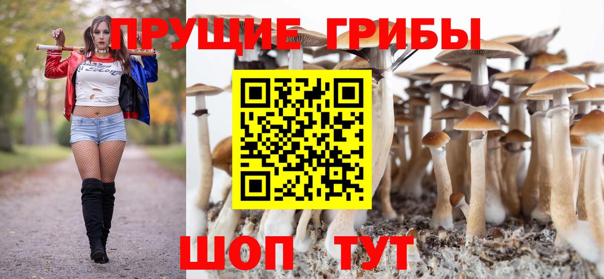 Галлюциногенные грибы ЛСД Сарапул
