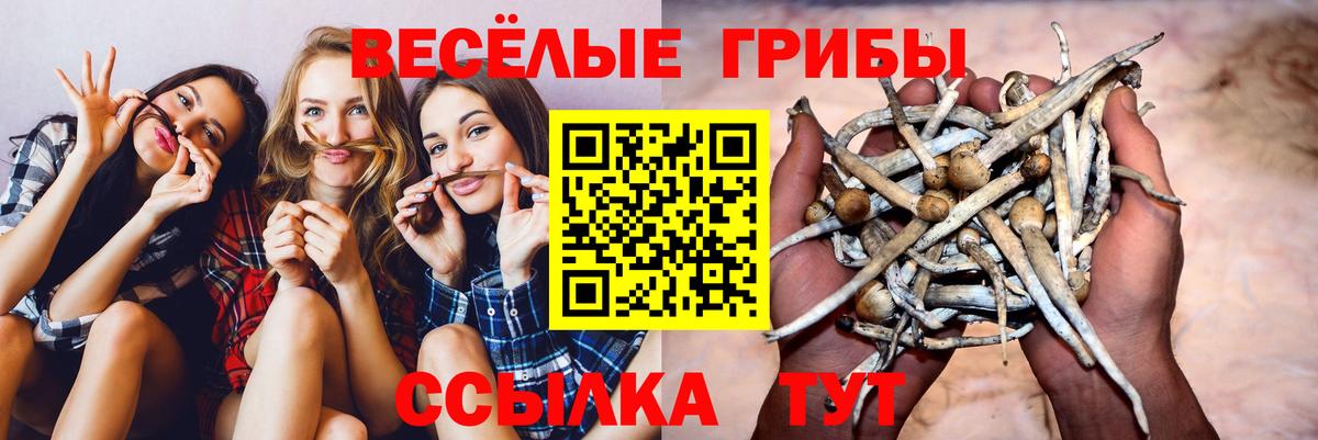 Сарапул  Псилоцибиновые грибы Psilocybine cubensis  где купить наркоту  Вход с VPN  Псилоцибиновые грибы Psilocybine cubensis 